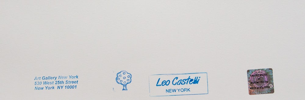 Andy Warhol 'Pine Barrens Tree Frog' - 6