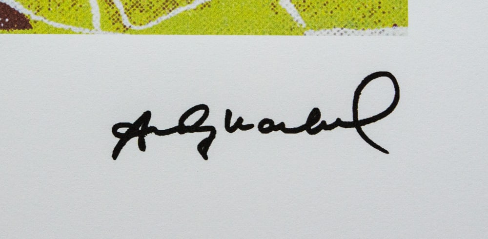 Andy Warhol 'Monkey' - 3