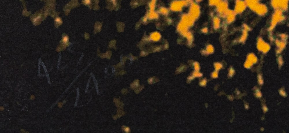 Andy Warhol 'Orangutan' - 3