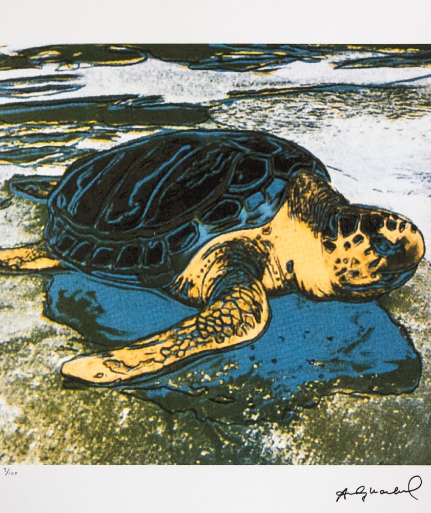 Andy Warhol 'Turtle': Andy Warhol (after) 'Turtle' offset lithograph in colors on Arches paper, sheet size 38,5 x 57 cm, plate signed bottom right, numbered with pencil, limited edition 9/100 (Leo Castelli, Art Gallery New