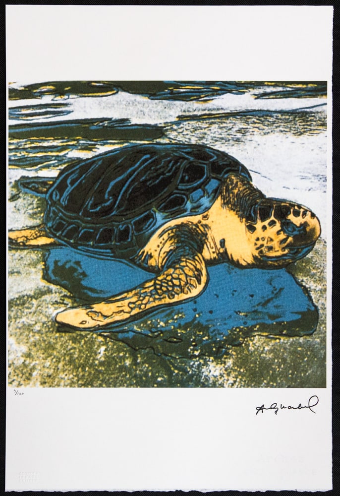 Andy Warhol 'Turtle' - 2