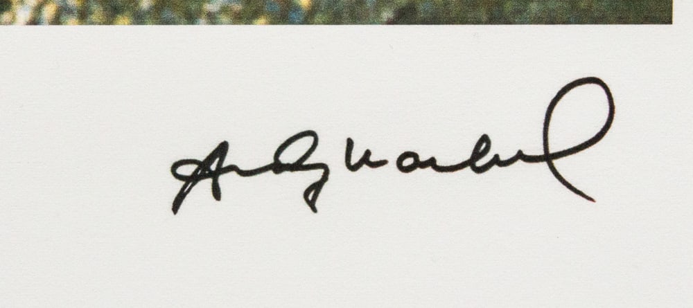 Andy Warhol 'Turtle' - 3