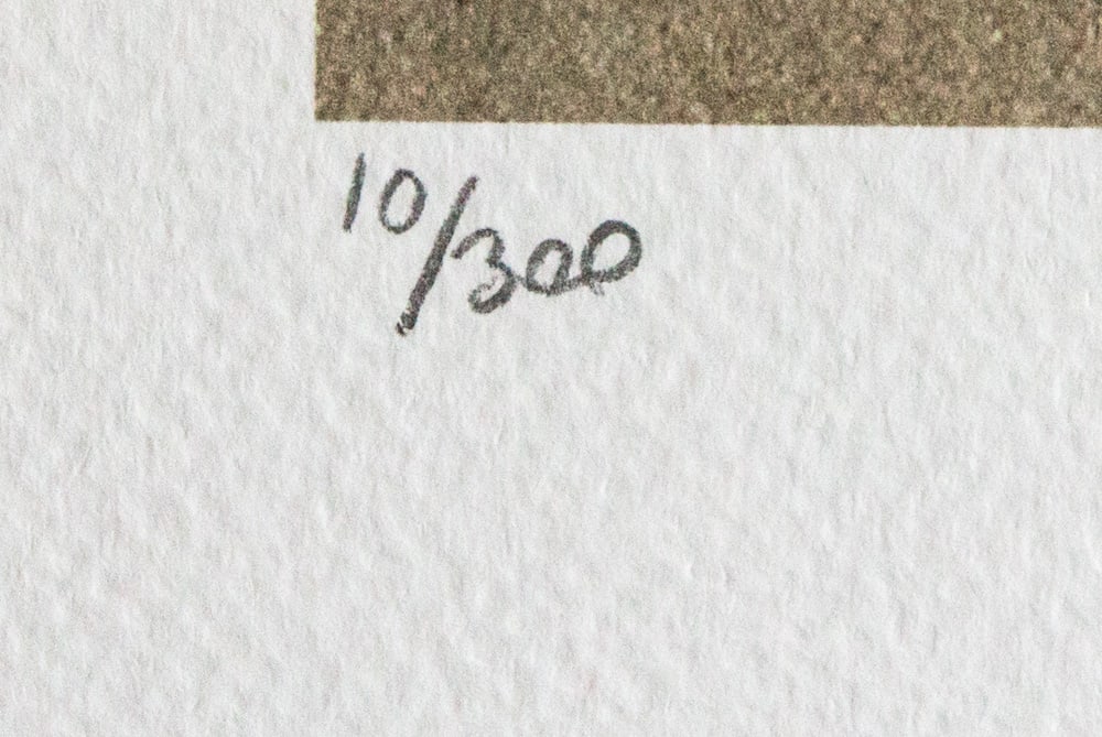 Edgar Degas 'After Bathing' - 3