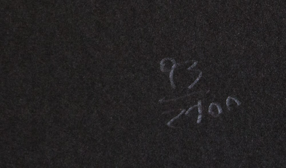 Andy Warhol 'Bald Eagle' - 3