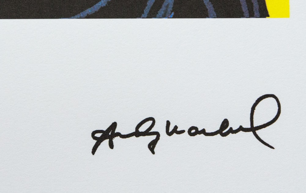 Andy Warhol 'Mickey Mouse' - 3