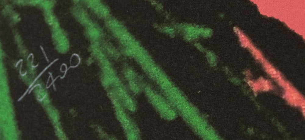 Andy Warhol 'Flowers' - 3