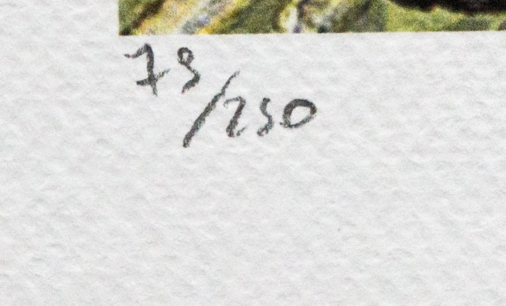 Vincent van Gogh 'Iris' - 4