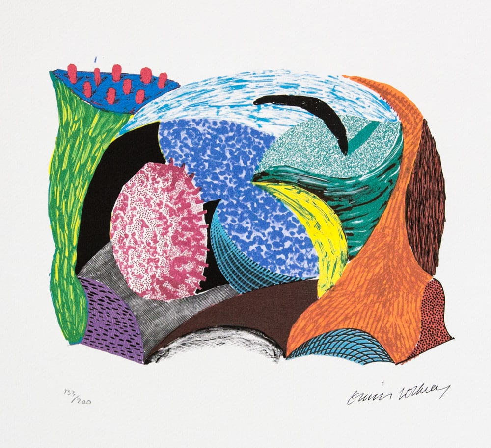 David Hockney 'Blue Hang Cliff': David Hockney (after) 'Blue Hang Cliff' limited edition of 200, lithography print, plate signed bottom right, numbered with pencil bottom left 133/200, heavy cotton paper, with embossing stamp 'SPADEM