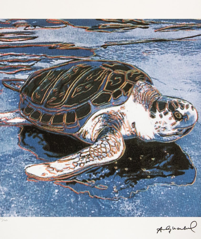 Andy Warhol 'Turtle': Andy Warhol (after) 'Turtle' offset lithograph in colors on Arches paper, sheet size 38,5 x 57 cm, plate signed bottom right, numbered with pencil, limited edition 25/100 (Leo Castelli, Art Gallery Ne
