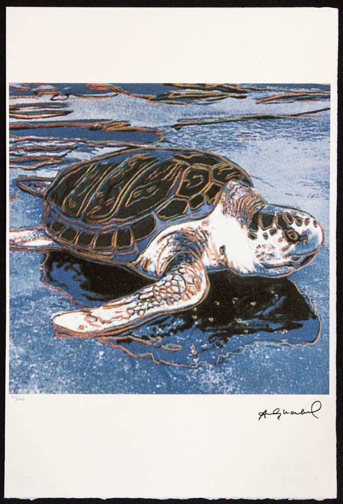 Andy Warhol 'Turtle' - 2