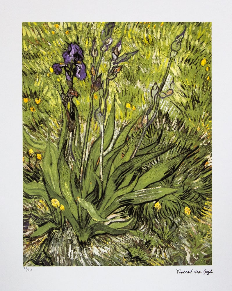 Vincent van Gogh 'Iris': Vincent van Gogh (after) 'Iris' lithography print, sheet size 50 x 70 cm, plate signed bottom right, numbered with pencil bottom left, limited edition 79/250, with embossing stamp 'SPADEM, Paris', hea