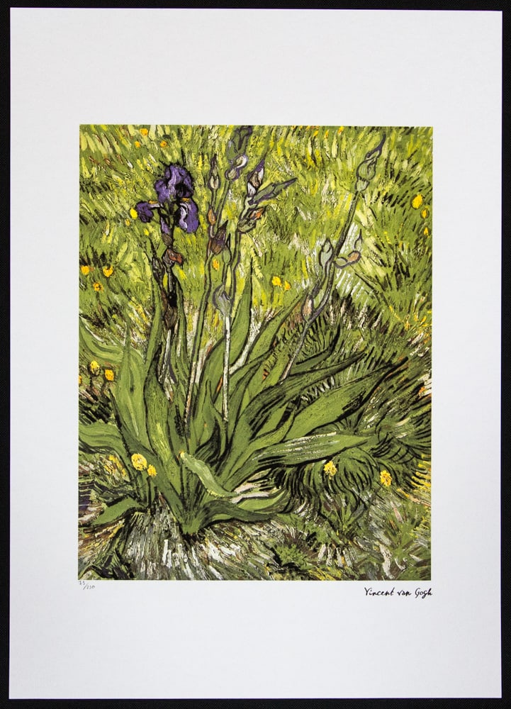 Vincent van Gogh 'Iris' - 4
