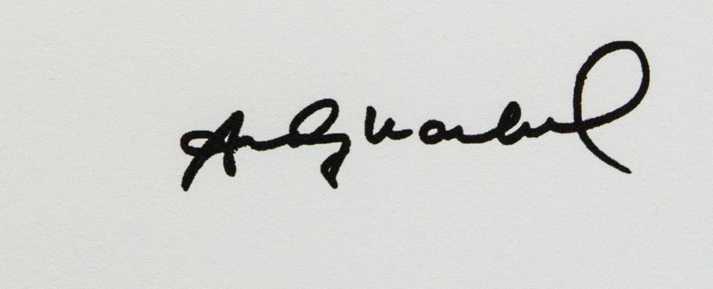 Andy Warhol 'Albert Einstein' - 3