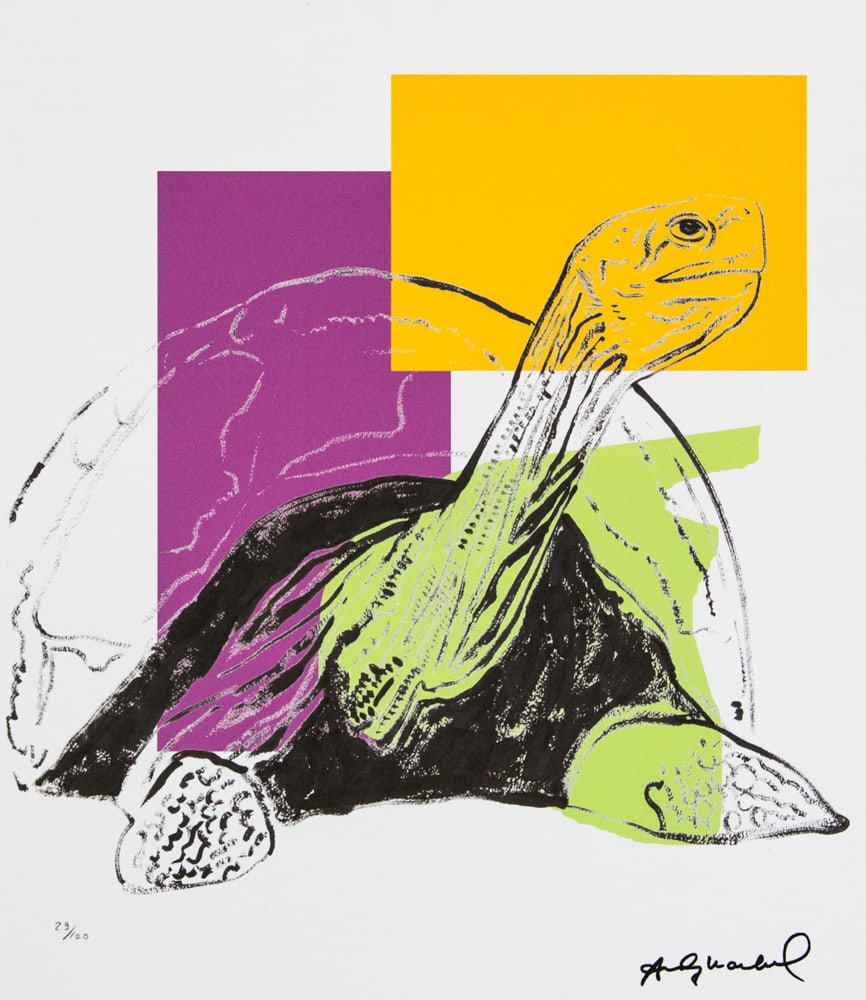 Andy Warhol 'Turtle': Andy Warhol (after) 'Turtle' offset lithograph in colors on Arches paper, sheet size 38,5 x 57 cm, plate signed bottom right, numbered with pencil, limited edition 29/100 (Leo Castelli, Art Gallery Ne