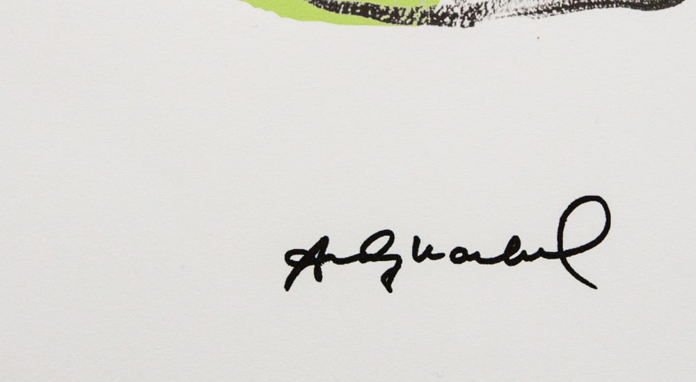 Andy Warhol 'Turtle' - 3