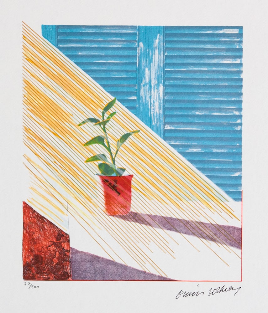 David Hockney 'Sun': David Hockney (after) 'Sun' limited edition of 200, lithography print, plate signed bottom right, numbered with pencil bottom left 77/200, heavy cotton paper, with embossing stamp 'SPADEM, Paris', she
