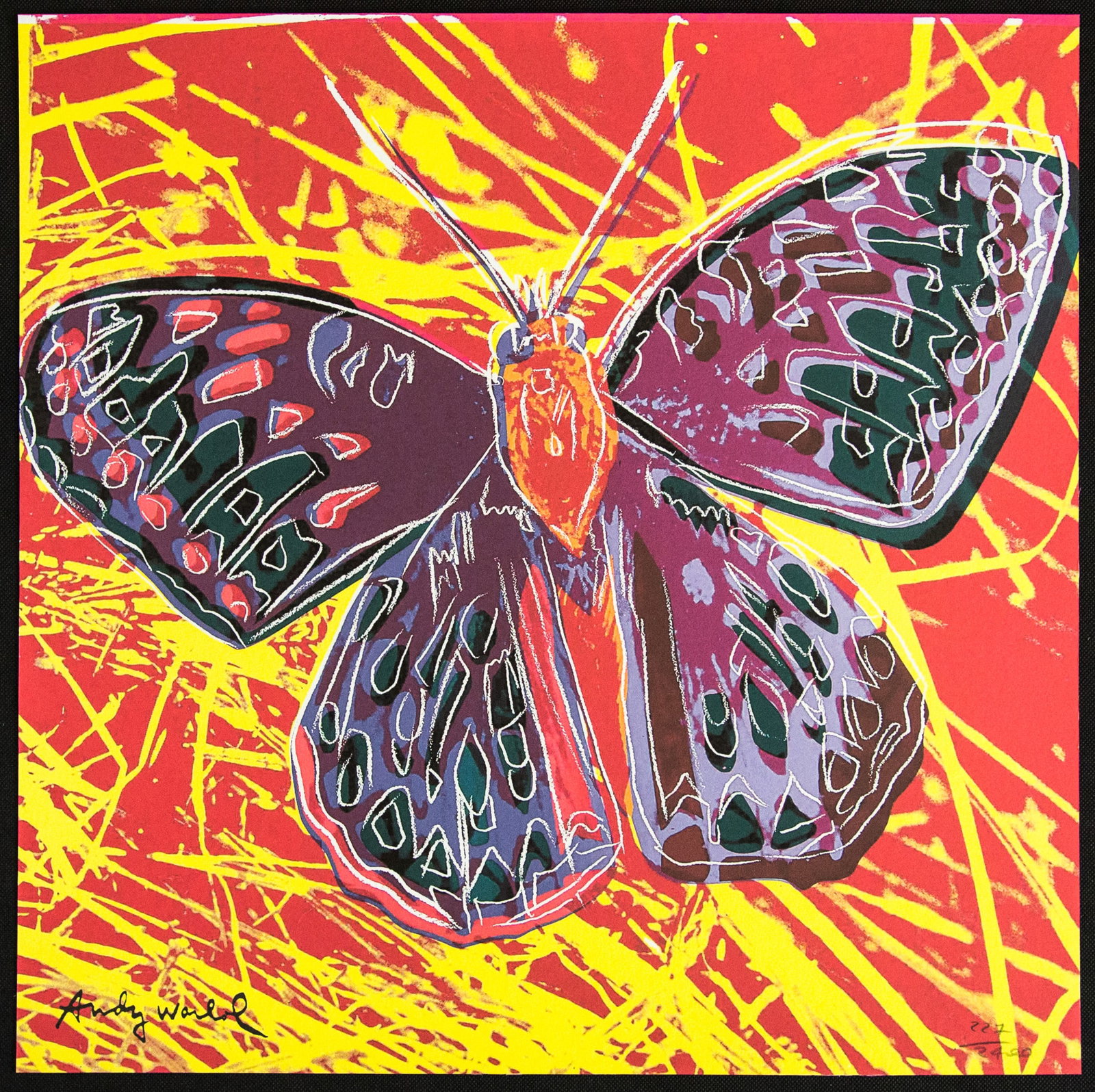 Andy Warhol 'Butterfly': Andy Warhol (after) 'Butterfly' offset lithography, size 60 x 60 cm, plate signed bottom left, numbered with pencil, limited edition 227/2400, heavy paper, stamped with CMOA on the back (Carnegie Muse