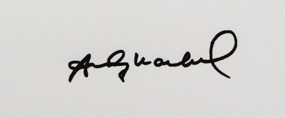 Andy Warhol 'Turtle' - 3