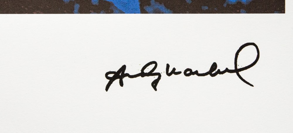 Andy Warhol 'Pine Barrens Tree Frog' - 3
