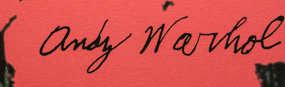 Andy Warhol 'Flowers' - 2