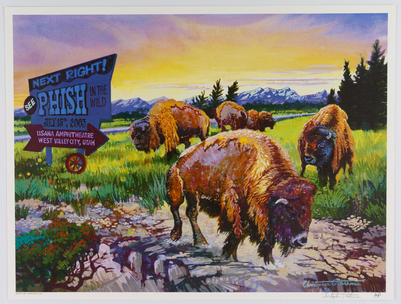 2003 Phish Usana LE Artist Proof Poster SIGNED Peterson (1 of 1)