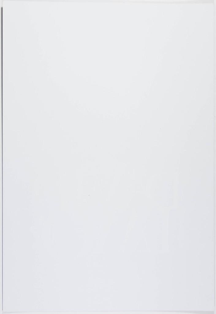 2004 BGP-316 David Bowie The Fillmore Poster Near Mint 89 - 2