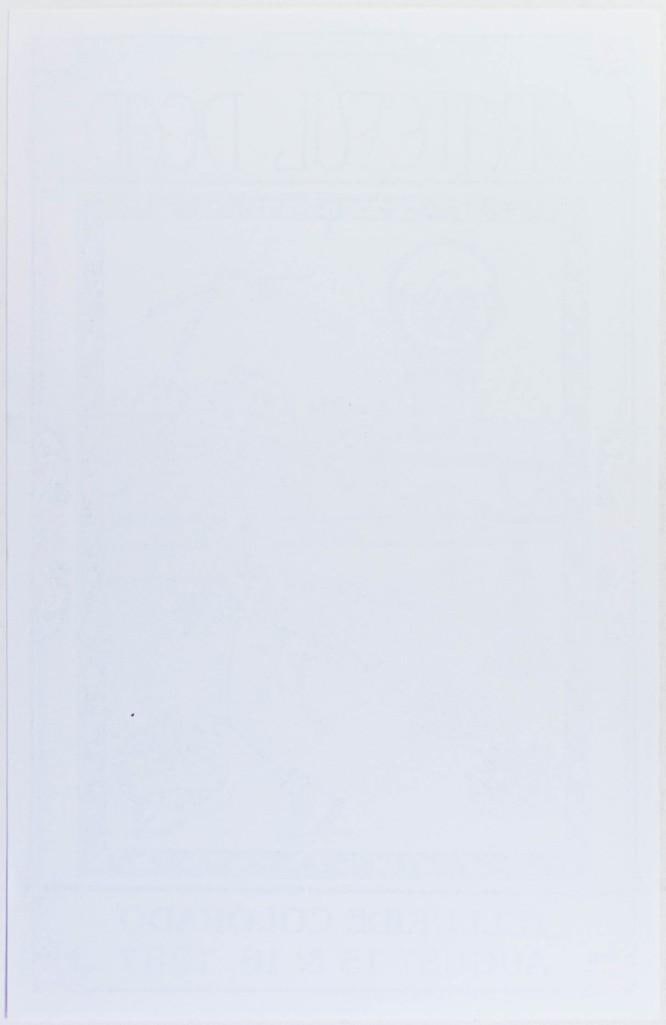 1987 Grateful Dead Telluride Fan Made RP Poster Near Mint 89 - 2