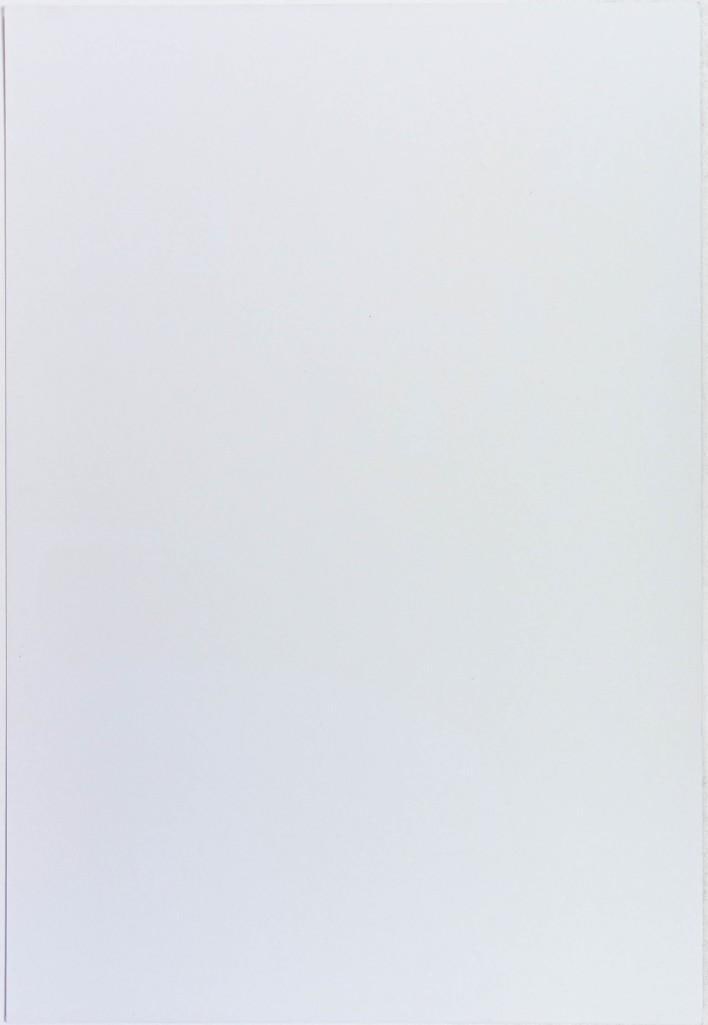 2005 NF-701 Jackie Greene The Fillmore Poster Near Mint 89 - 2