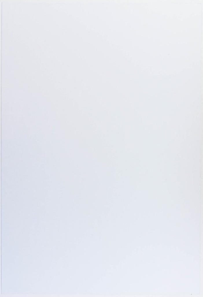 2004 The Roots The Fillmore Poster Near Mint 87 - 2