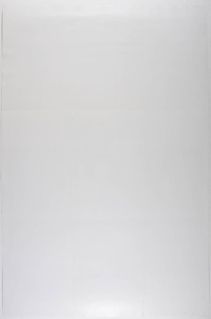 Shiva's Headband Armadillo Promotional Materials Collage Poster Excellent 70 - 2