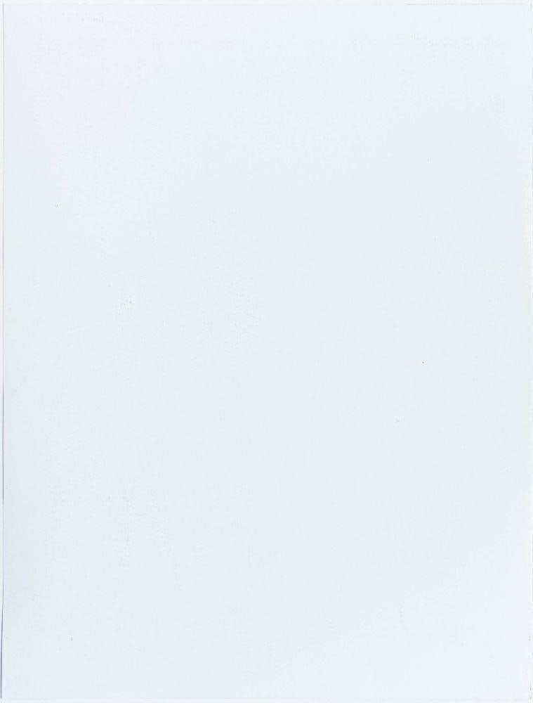 2011 Butthole Surfers The Regency Ballroom Poster Near Mint 85 - 2