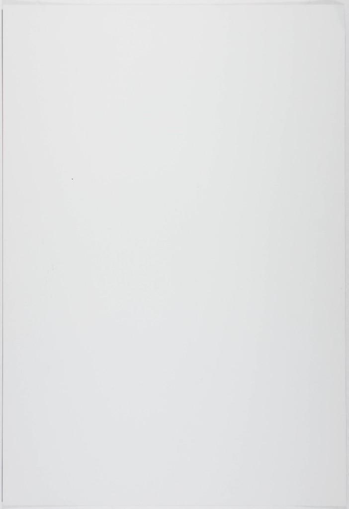 1999 NF-367 Tom Petty and The Heartbreakers The Fillmore Poster Excellent 79 - 2