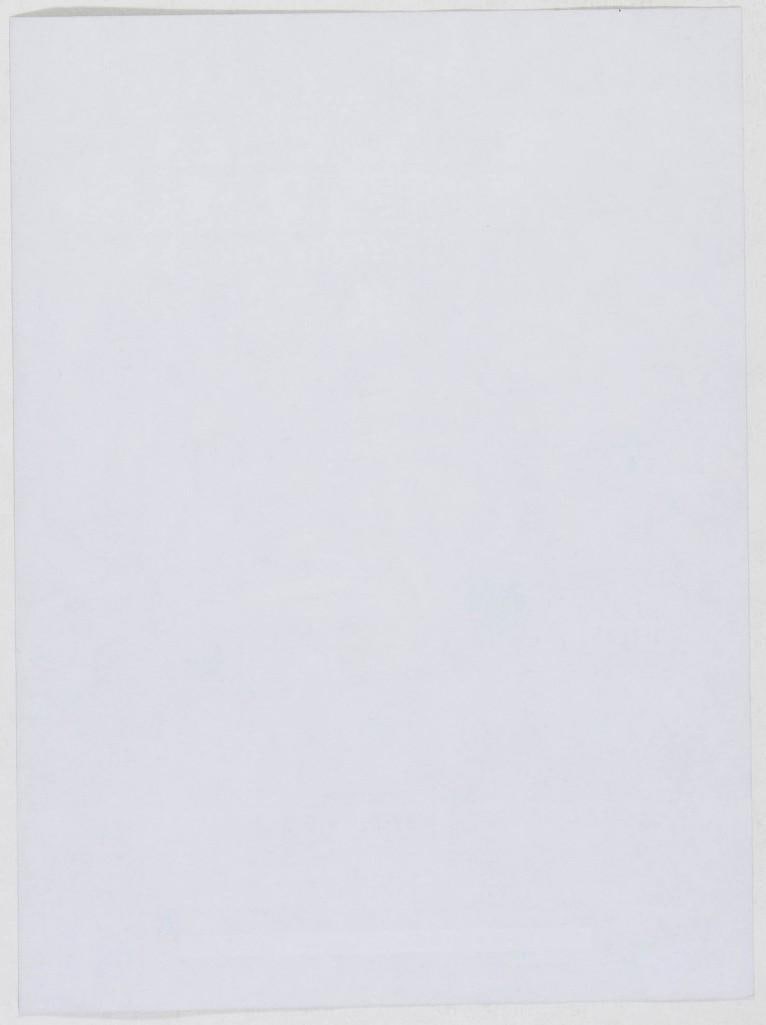 1999 James Brown Aerial Theatre Handbill Near Mint 85 - 2