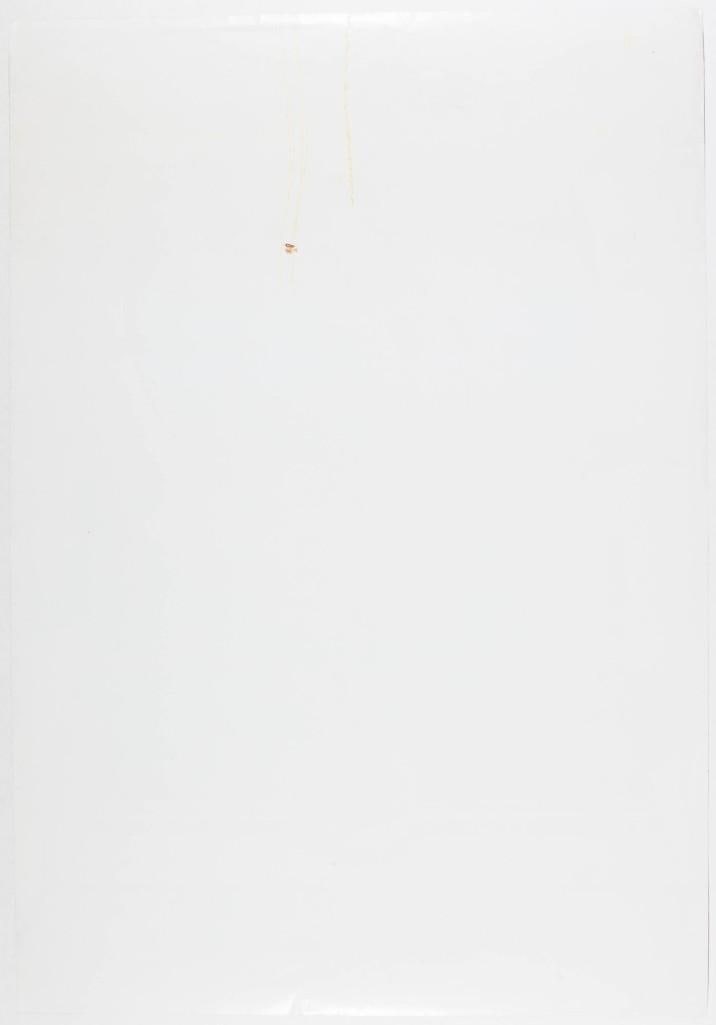 1984 Crosby Still & Nash Cleveland Stadium Poster Near Mint 87 - 2