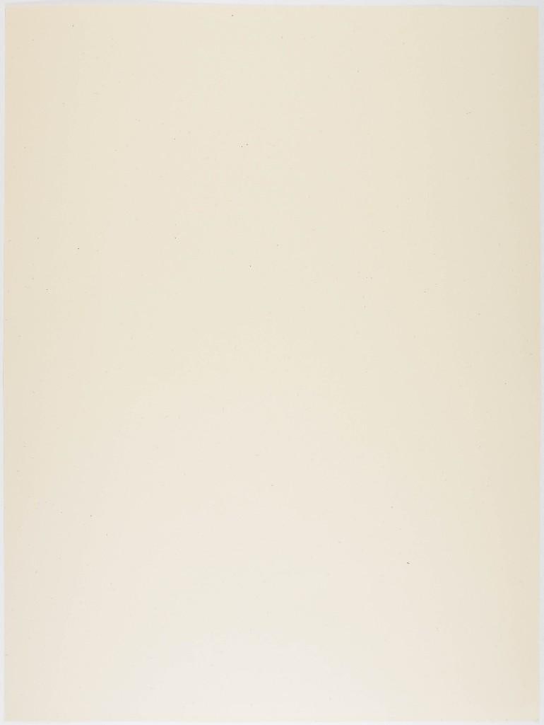 2006 Shepard Fairey X Henry Rollins As The World Burns LE Signed Rollins & Fairey Poster NM 89 - 2