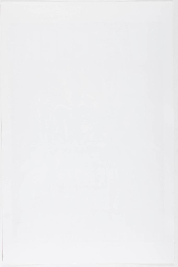 2003 The Buzzcocks Peabody's Down Under LE Poster Near Mint 89 - 2