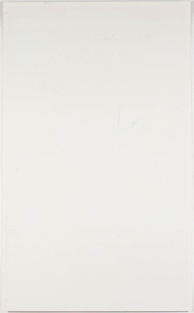 1969 AOR-3.2 David Byrd Woodstock Festival Wallkill New York Poster Near Mint 81 - 2