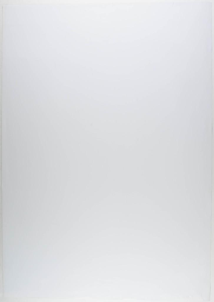 Janis Joplin & Grace Slick Headshop Poster Excellent 79 - 2