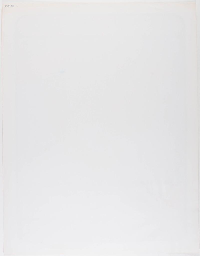 1967 Wildflower Straight Theatre Poster Near Mint 85 - 2