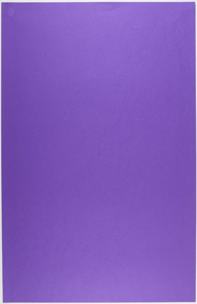 2009 Gary Houston The Dead Spring Tour LE Poster Mint 91 - 2