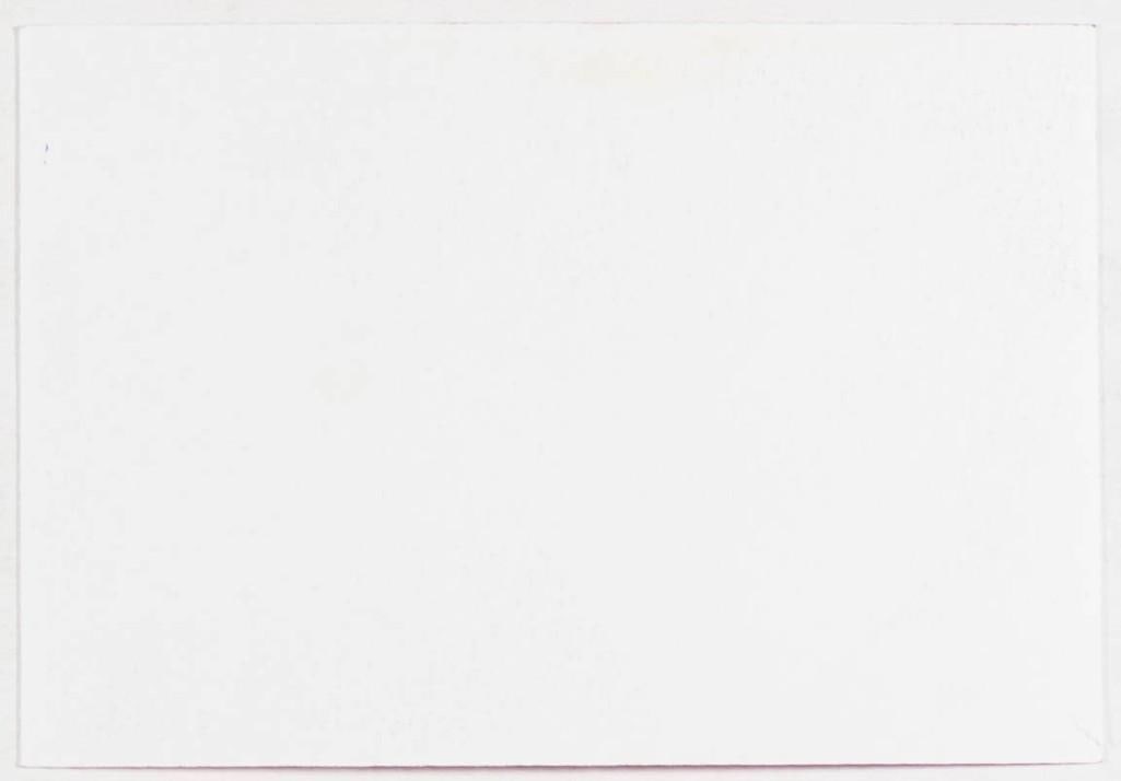 1989 Zero Cotati Cabaret Signed Handbill Near Mint 85 - 2