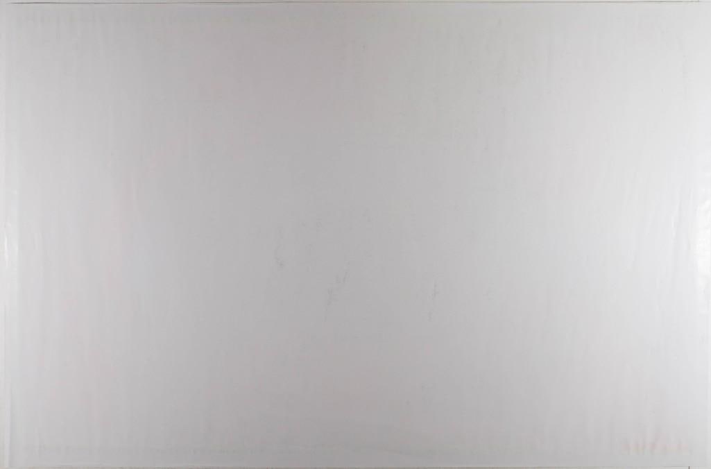 1974 The Eye #981 Flocked Headshop Poster Excellent 75 - 2
