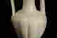 item-128871050=5