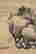 item-128871542=3