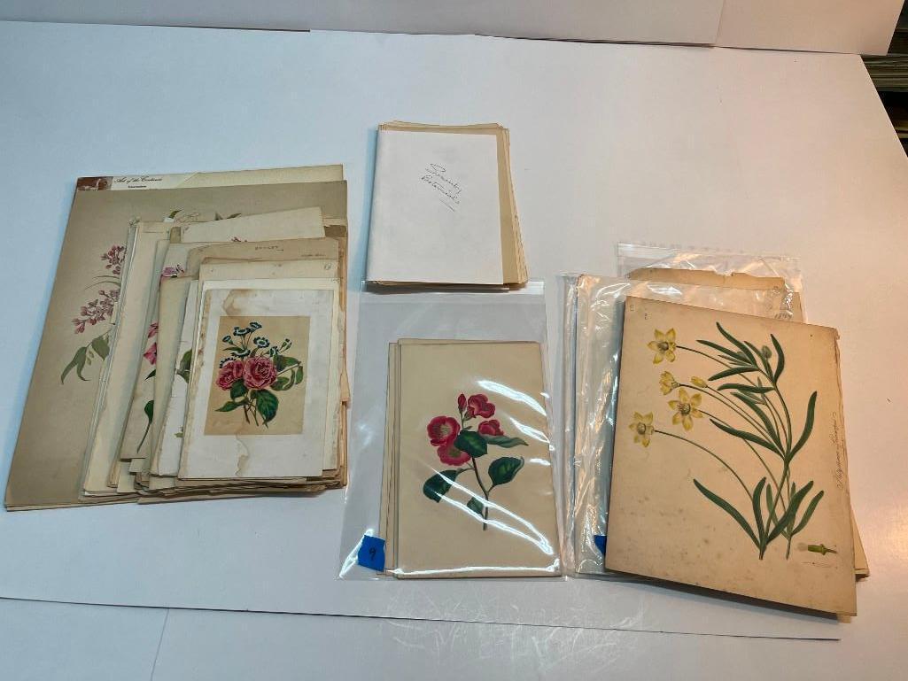 Large Collection of Various Botanical Prints (1 of 12)