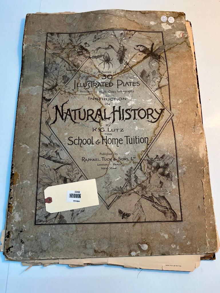 Large Natural History Book of Lithographs: Raphael Tuck & Sons, Ltd (1 of 9)