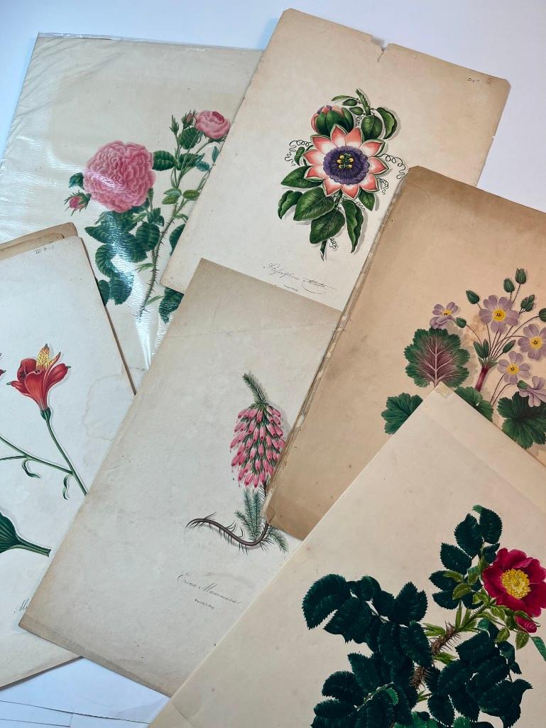 A Collection of R.H. Nimmo and Mary Lawrance Floral Prints (1 of 7)