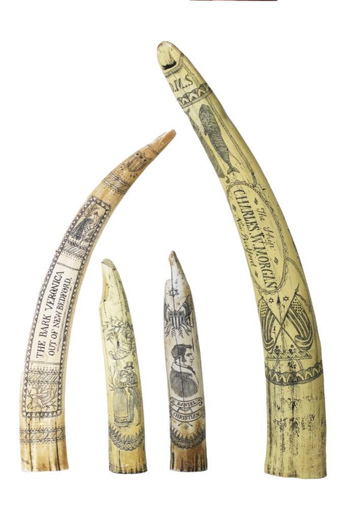 A Collection of Faux Scrimshaw Walrus Tusks: Continental, 20th century. These four replica scrimshaw tusks are made of synthetic cast resin and finished with great realism. One is a 16" tusk from the Bark Veronica out of New Bedford Connecticut,