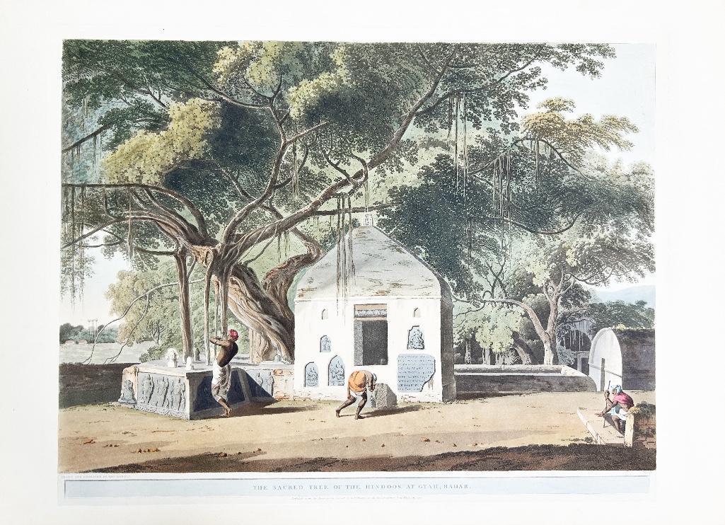 Thomas Daniell (1749-1840) and William Daniell (1769-1837) The Sacred Tree of the Hindoos Aquatint (1 of 2)