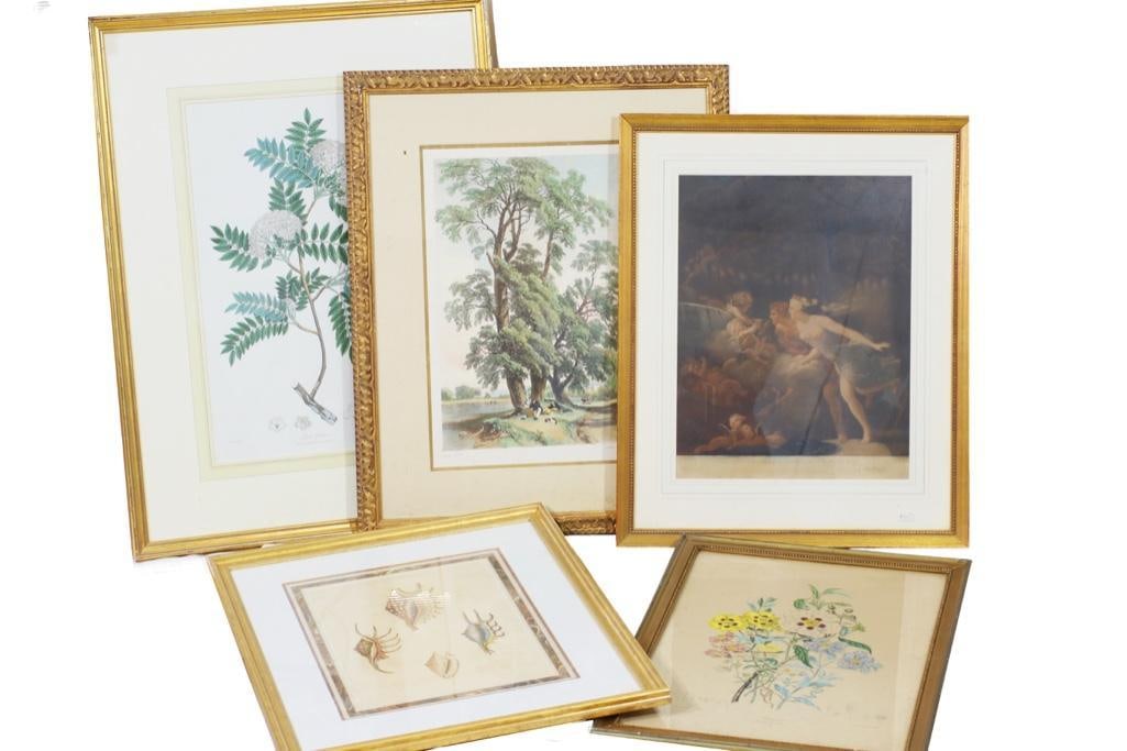 This lot contains five framed prints including a Day & Son botanical print titled "The Rock Rose (1 of 6)